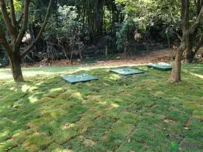 ��ˮ̎������200t/��